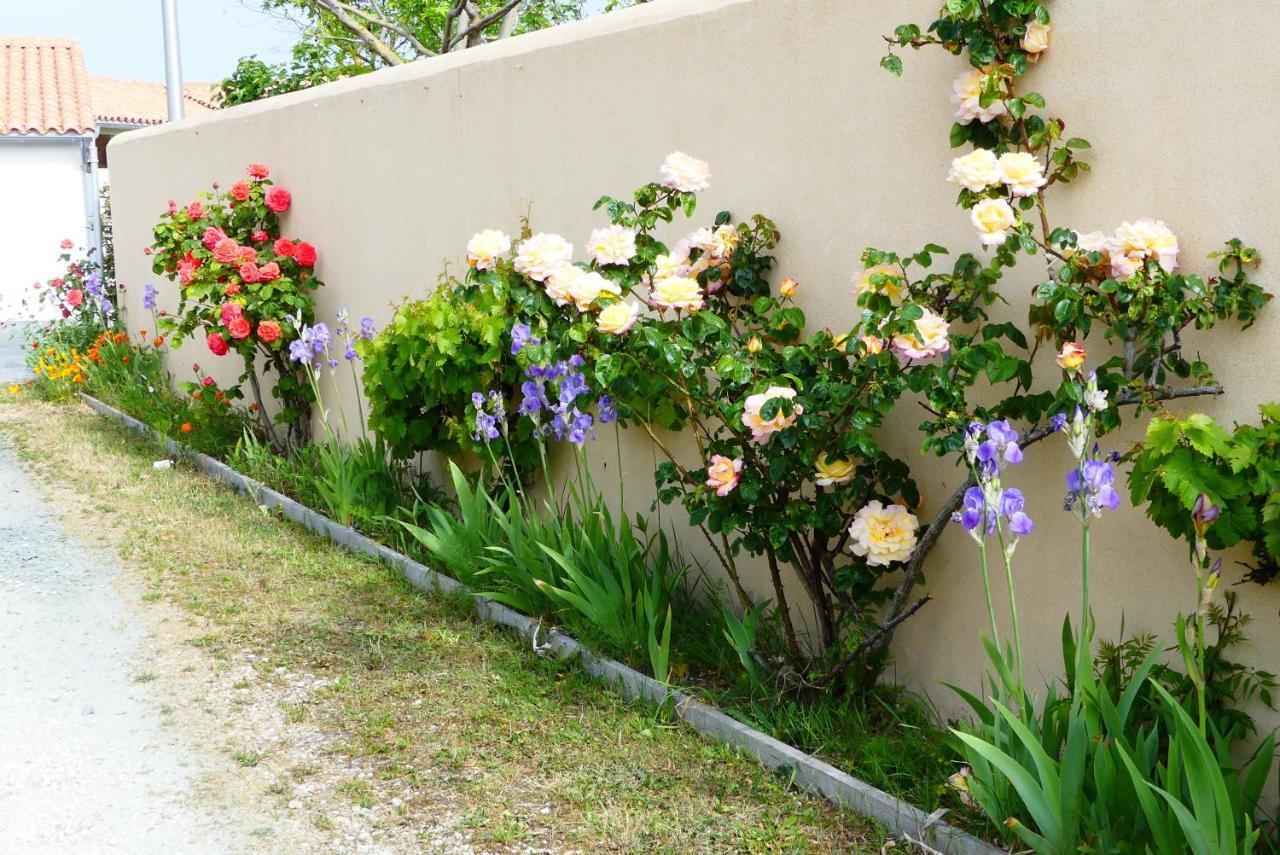 La Passerose 3 Pieces Avec Jardin Au Calme,A 300M De La Plage, Bed & Breakfast La Couarde-sur-Mer Exterior foto